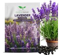 Magic of Nature: Semi di Lavanda Vera - circa 150 Pz