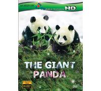 Magic Play Entertainment - Giant Panda
