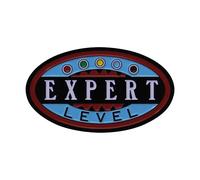 Magic The Gathering Esperto Level Edizione Limitata Spilla