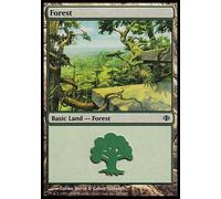 Magic: The Gathering - Forest (#247) - Foresta - Shards of Alara