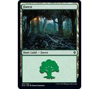 Magic: the Gathering - Forest - Foresta - Throne of Eldraine