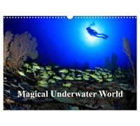 Magical Underwater World (Wall Calendar 2027 DIN A3 landscape), CALVENDO 12 Month Wall Calendar: Underwater photography from tropical seas