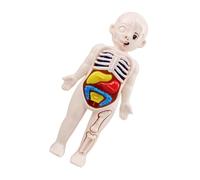 MAGICLULU 1 Set Didattico Modello Educativo Puzzle per Apprendimento delle Del Corpo e Della Fisiologia Sicuro e Facile da Assemblare