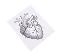 MAGICLULU 1pezzi Tabella Anatomico Del Cuore Decorazione Didattica Di Organi Umani Ciondolo Medico Grafico Forma Di Cuore Per Scuola e Laboratorio