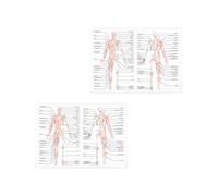 MAGICLULU 2 Pezzi Poster Anatomico Umano Scheletrico e Muscolare | Tessuto in Stoffa, Lettura Chiara, per Aula e Laboratorio, Studenti e Pazienti