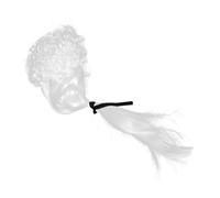 MAGICLULU 2 Pz accessori cosplay scrunchies hair band hair ribbon parrucche cosplay outfit per bambine parrucca cosplay bianca lunga parrucca riccia parrucca da gentiluomo signore Washington