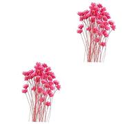 MAGICLULU 2 Set Di Fiori Secchi Naturali Bouquet Di Fiori Stella Brasiliani Fatti A Mano Decorazione Per La Casa Fiore Per Foto Di Nozze Rosso 50 Pezzi * 2