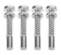 MAGICLULU Chiusure a Molla per Letto Ragazzo Ragazza 4 Pezzi, Perno di Bloccaggio a Stantuffo in Ferro Resistente, Mini Chiusure per Culla e Zanzariere, Facile Installazione per Sicurezza