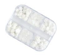MAGICLULU Decorazioni per Manicure 3d Fiori per Unghie di Colore Bianco, Set da 2 Scatole Charms a Forma di Fiore, Accessori Fai da Te per Nail Art Professionale e Uso Personale