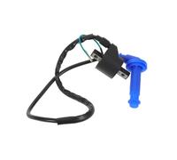 MAGICLULU Kit Cavo Candela Bobina Accensione per Resistente al Calore Ottimizza Efficienza Motore Sostituzione Facile e Duratura per Veicoli Automobilistici