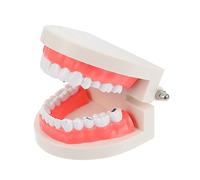 MAGICLULU Modello di denti della carie per l'educazione alla salute orale Spazzolamento dei denti Dimostrazione sicuro Ospedale Educativo Mano Occhio Coordinazione Sviluppo