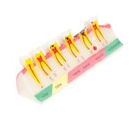 MAGICLULU Modello Didattico per Insegnamento Modello Dente con Carie per Studio e Ricerca Strumento Dimostrativo per Dentisti e Pazienti Facile da Trasportare e Utilizzare Alta Precisione e