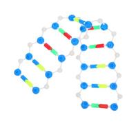 MAGICLULU Modello Dna Doppia Didattico Kit Interattivo per Scienze Biologiche e Genetica Aula e Laboratorio