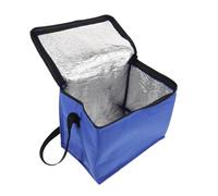 MAGICLULU Sacchetto Termico Per Alimenti Contenitore Termico Isolato Per Cibo Caldo e Freddo Portatile Per Spesa e Catering