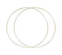 MagiDeal 2 pezzi Anelli di cerchio di metallo Circolo multiuso 5 mm di spessore per porte di Natale robusta, Diametro 55 Cm