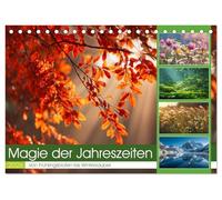 Magie der Jahreszeiten (Tischkalender 2026 DIN A5 quer), CALVENDO Monatskalender: Stimmungsvolle Bilder fangen die Schönheit der vier Jahreszeiten in ... Monat zu einem besonderen Naturerlebnis.