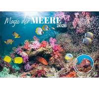 Magie der Meere 2026: Großer Foto-Wandkalender mit magischen Aufnahmen aus den Weltmeeren. Edler schwarzer Hintergrund. PhotoArt Panorama Querformat: 58x39 cm.