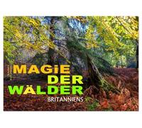 Magie der Wälder Britanniens (Tischkalender 2026 DIN A5 quer), CALVENDO Monatskalender: Besondere, magische Momente eingefangen in den Wäldern Großbritanniens