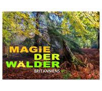 Magie der Wälder Britanniens (Wandkalender 2026 DIN A3 quer), CALVENDO Monatskalender: Besondere, magische Momente eingefangen in den Wäldern Großbritanniens
