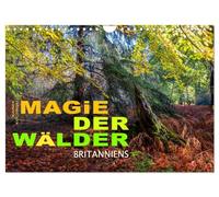 Magie der Wälder Britanniens (Wandkalender 2026 DIN A4 quer), CALVENDO Monatskalender: Besondere, magische Momente eingefangen in den Wäldern Großbritanniens