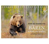 Magie des Augenblicks - Bären in nordischen Wäldern (Tischkalender 2026 DIN A5 quer), CALVENDO Monatskalender: Eindrucksvolle Bildern von den ... fotografiert von Winfried Wisniewski