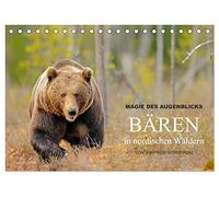 Magie des Augenblicks - Bären in nordischen Wäldern (Tischkalender 2026 DIN A5 quer), CALVENDO Monatskalender: Eindrucksvolle Bildern von den ... fotografiert von Winfried Wisniewski
