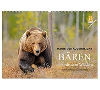 Magie des Augenblicks - Bären in nordischen Wäldern (Wandkalender 2026 DIN A2 quer), CALVENDO Monatskalender: Eindrucksvolle Bildern von den ... fotografiert von Winfried Wisniewski