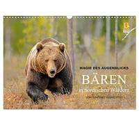 Magie des Augenblicks - Bären in nordischen Wäldern (Wandkalender 2026 DIN A3 quer), CALVENDO Monatskalender: Eindrucksvolle Bildern von den ... fotografiert von Winfried Wisniewski