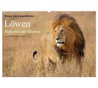 Magie des Augenblicks - Löwen - Herrscher der Savanne (Wandkalender 2026 DIN A2 quer), CALVENDO Monatskalender: Eindrucksvolle Bilder von der der ... fotografiert von Winfried Wisniewski