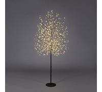 Magie di Natale Albero luminoso Faggio tronco lungo rami a microled luce calda da interno ed esterno (150 cm, Nero)