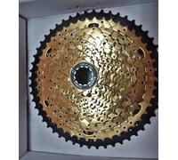 Magistroni Pacco Pignoni MTB 13V Gold