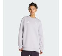 MAGLIA A GIROCOLLO TEAM D XPLORIC Glory Grey M