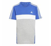 Adidas T-shirt Tiberio 3-Stripes Colorblock Cotton Junior | Adidas 7 - 8 ANNI