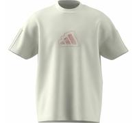 Maglia a Maniche Corte Uomo Adidas All Szn Graphic Seasonal Bianco