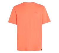 Maglia a Maniche Corte Uomo O'Neill Small Logo Arancio