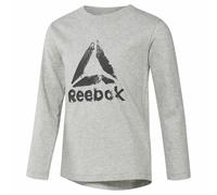 Maglia a Maniche Lunghe Bambino Reebok Boys Training Essentials Grigio chiaro