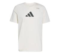 adidas Maglietta da Uomo Climacool Category Training Graphic XL Bianco Gesso