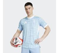Maglia Away Authentic 25/26 Juventus Ash Blue M