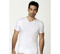 MAGLIA COTONE BIELASTICO UOMO NOTTINGHAM FOX