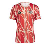 Maglia da allenamento Bayern Munich 2024/25 Rouge XL