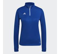 Adidas Felpa Entrada 22 Training