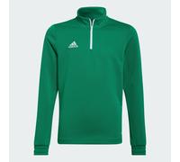 Adidas Entrada 22 Training Sweatshirt Verde 13-14 Years Bambini