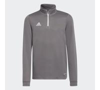 Maglia da allenamento Entrada 22 Team Grey Four 13-14A