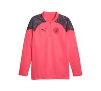 Maglia da allenamento Manchester City 2023/24 Gris 2XL