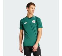 Maglia da allenamento Tiro 24 Algeria