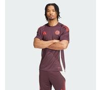Maglia da allenamento Tiro 24 FC Bayern München Shadow Maroon / Red 2XL