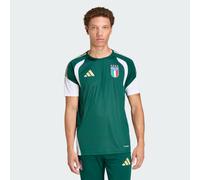 Maglia da allenamento Tiro Italia 26 Collegiate Green XL Tall