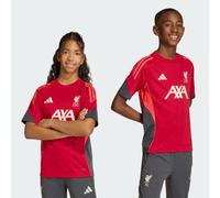 Maglia da allenamento Tiro25 Competition Liverpool FC Strawberry Red 5-6A