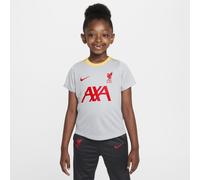 Maglia da calcio a manica corta Nike Dri-FIT Liverpool FC Academy Pro per bambino/a - Terza - Grigio XL
