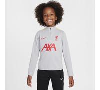 Maglia da calcio per allenamento Nike Dri-FIT Liverpool FC Academy Pro per bambino/a - Terza - Grigio L